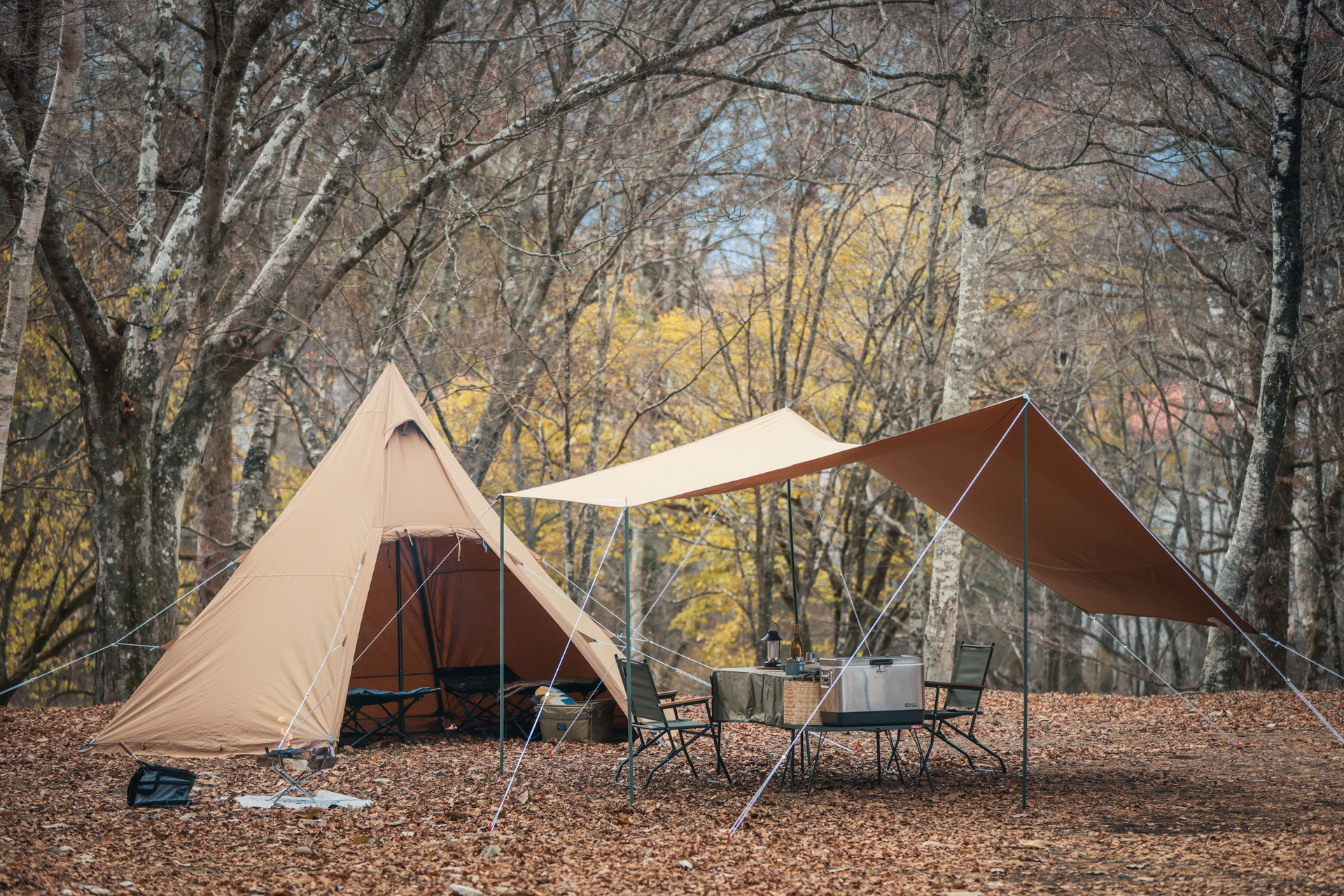 スペシャルプライス テント&キャンプ